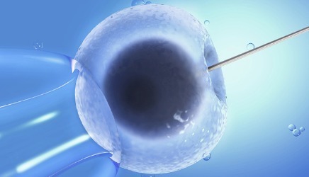 胚胎实验室